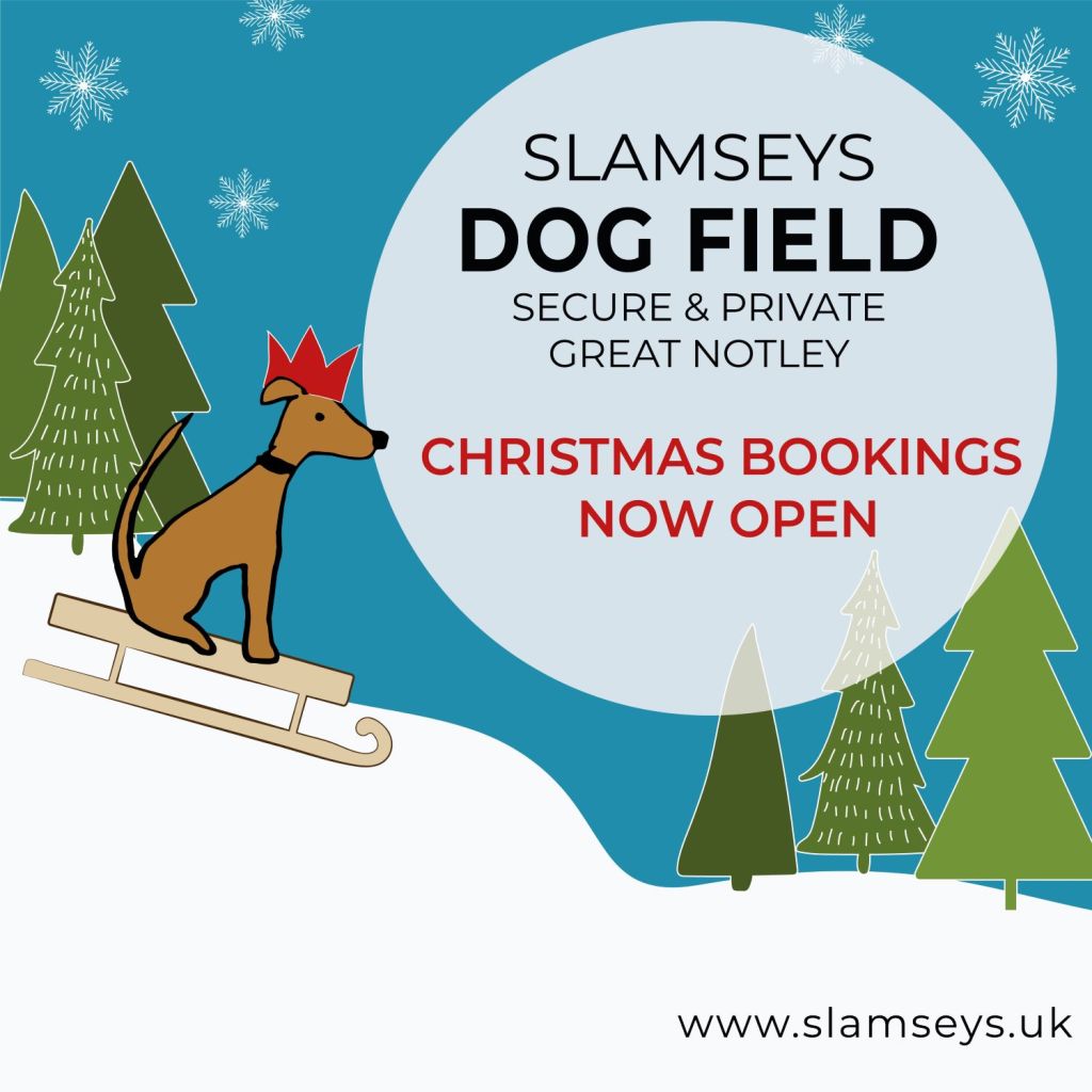 Cartoon dog on sledgw with text Slamseys Dog Field Christmas